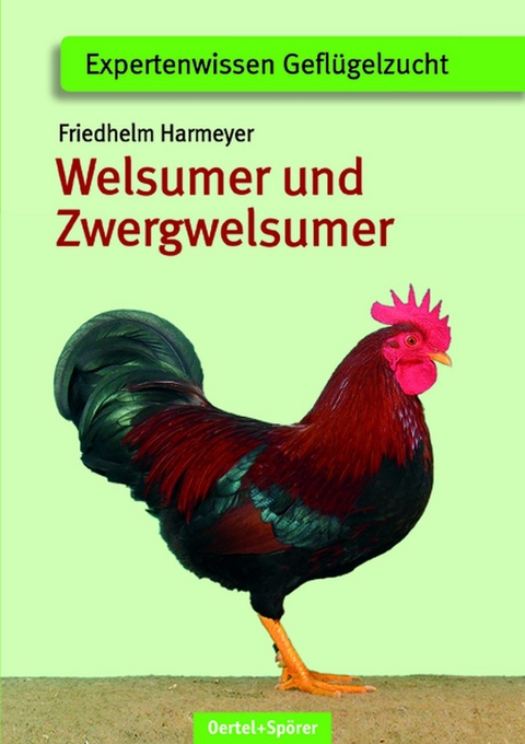 Welsumer und Zwerg-Welsumer