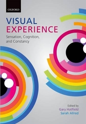 Visual Experience - 