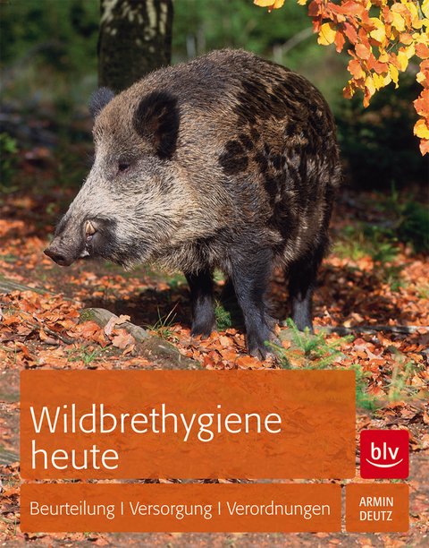 Wildbrethygiene heute - Armin Deutz