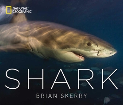 Shark - Brian Skerry