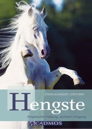 Hengste - Stefan Schneider