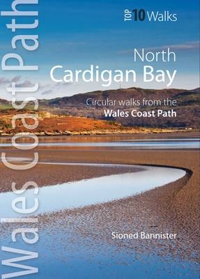 Cardigan Bay North - Sioned Bannister