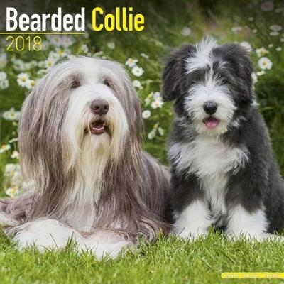 Bearded Collie Calendar 2018 -  Avonside Publishing Ltd