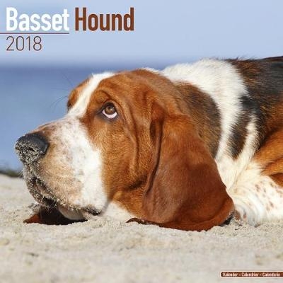 Basset Hound Calendar 2018 -  Avonside Publishing Ltd