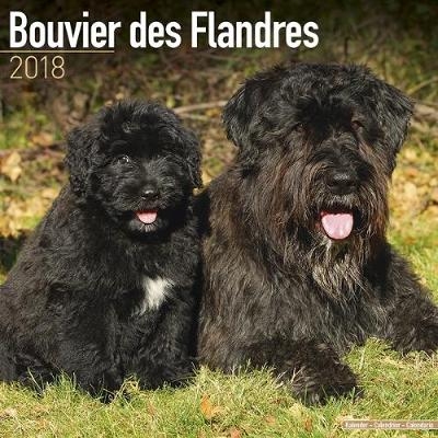 Bouvier Des Flandres Calendar 2018 -  Avonside Publishing Ltd