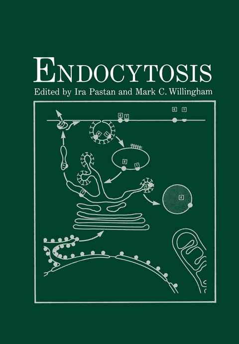 Endocytosis - 