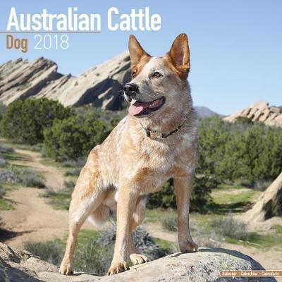 Australian Cattle Dog Calendar 2018 -  Avonside Publishing Ltd