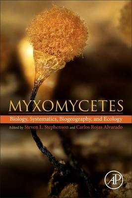 Myxomycetes - 