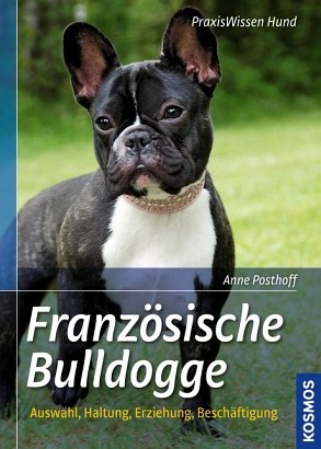 Französische Bulldogge - Dr. med. vet. Anne Posthoff