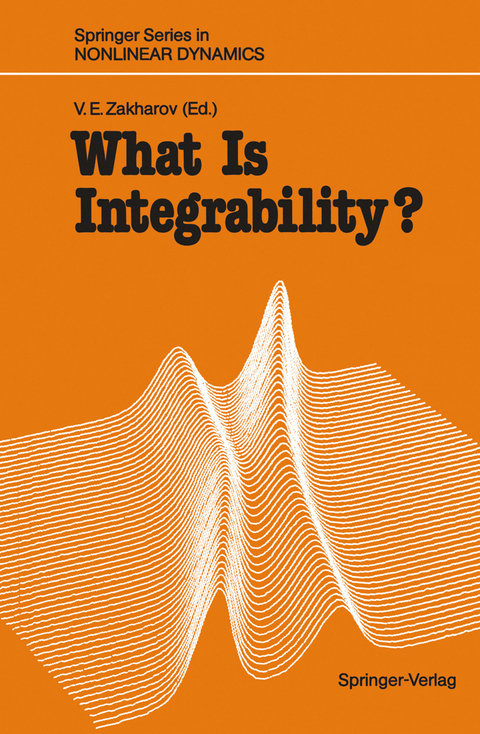 What Is Integrability? - 