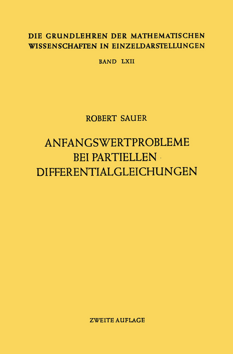 Anfangswertprobleme bei Partiellen Differentialgleichungen - Robert Sauer