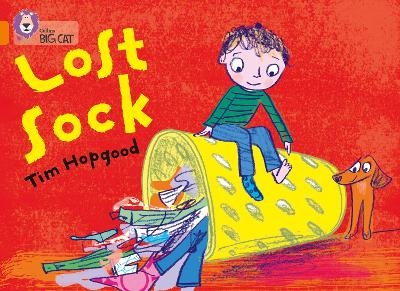 The Lost Sock - Tim Hopgood