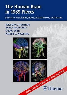 The Human Brain in 1969 Pieces - Wieslaw L. Nowinski