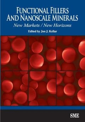 Functional Fillers and Nanoscale Minerals - 