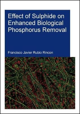 Effect of Sulphide on Enhanced Biological Phosphorus Removal - Francisco Rubio Rincon