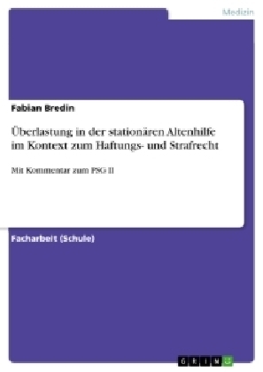 Ãberlastung in der stationÃ¤ren Altenhilfe im Kontext zum Haftungs- und Strafrecht - Fabian Bredin