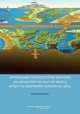 Approaches for Ecosystem Services Valuation for the Gulf of Mexico After the Deepwater Horizon Oil Spill -  National Research Council,  Division on Earth and Life Studies,  Ocean Studies Board,  Committee on the Effects of the Deepwater Horizon Mississippi Canyon-252 Oil Spill on Ecosystem Services in the Gulf of Mexico