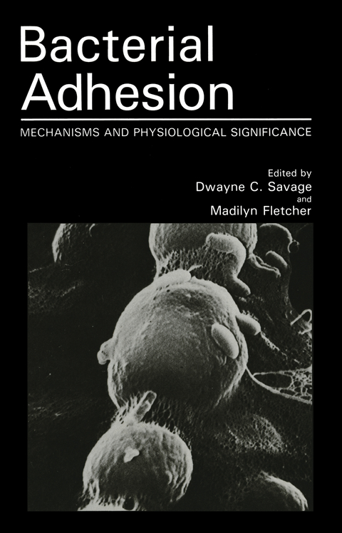 Bacterial Adhesion - 