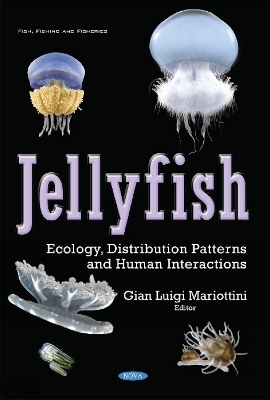 Jellyfish - 