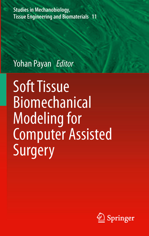 Soft Tissue Biomechanical Modeling for Computer Assisted Surgery - 