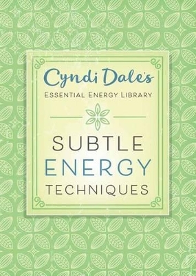 Subtle Energy Techniques - Cyndi Dale