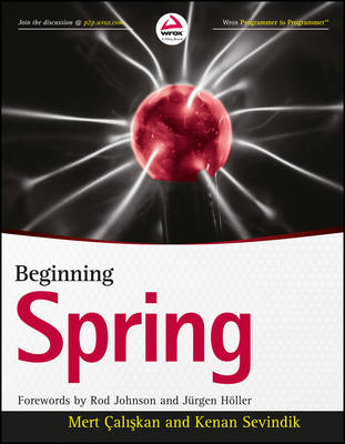 Beginning Spring - Mert Caliskan, Kennan Sevindik, Rod Johnson, Jurgen Holler