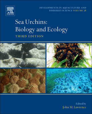 Sea Urchins - 