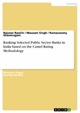 Ranking Selected Public Sector Banks in India based on the Camel Rating Methodology - Rajveer Rawlin, Mausam Singh, Ramaswamy Shanmugam