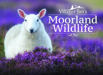 Villager Jim's Moorland Wildlife - Villager Jim