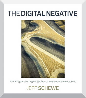 The Digital Negative - Jeff Schewe