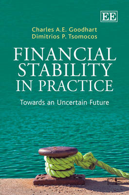 Financial Stability in Practice - Charles A.E. Goodhart, Dimitrios P. Tsomocos