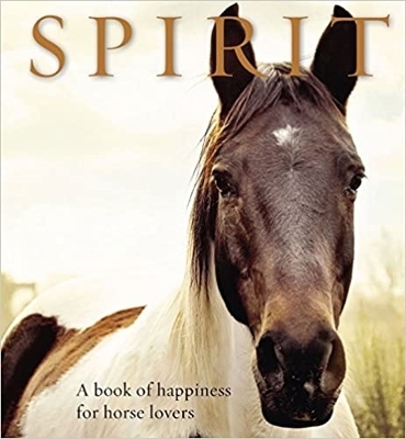 Spirit - 