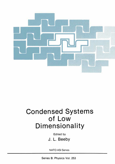 Condensed Systems of Low Dimensionality - 