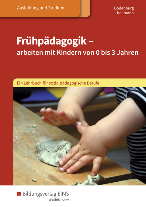 Frühpädagogik - arbeiten mit Kindern von 0 bis 3 Jahren - Irmgard Kollmann, Inga Bodenburg