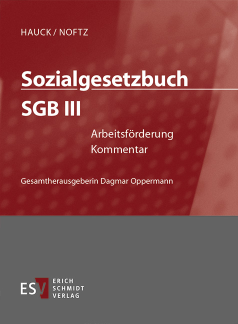 Sozialgesetzbuch (SGB). Kommentar / Sozialgesetzbuch (SGB) III: Arbeitsförderung - Abonnement Pflichtfortsetzung für mindestens 12 Monate - Andrea Bindig, Renate Daumann, Dietrich Hengelhaupt, Martin Kühl, Hans Arno Petzold, Olaf Rademacker, Bernhard Scholz, Jutta Siefert, Hinnerk Timme, Leandro Valgolio, Thomas Voelzke