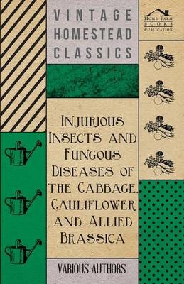 Injurious Insects and Fungous Diseases of the Cabbage, Cauliflower and Allied Brassica -  Various