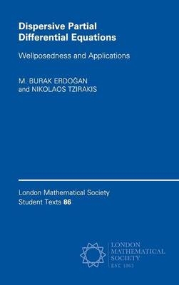 Dispersive Partial Differential Equations - M. Burak Erdoğan, Nikolaos Tzirakis