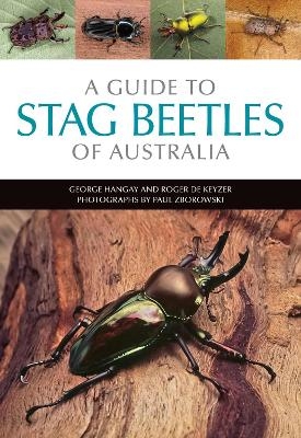 A Guide to Stag Beetles of Australia - George Hangay, Roger De Keyzer