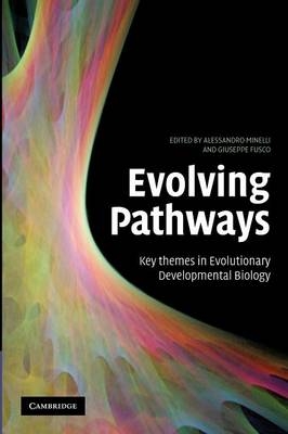 Evolving Pathways - Giuseppe Fusco