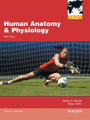 Human Anatomy & Physiology:International Edition/Interactive Physiology 10-System Suite CD-ROM (component)/Brief Atlas of the Human Body, A (ValuePack Only) - Elaine N. Marieb, Katja Hoehn, . . Pearson Education, Matt Hutchinson, Jon B. Mallatt