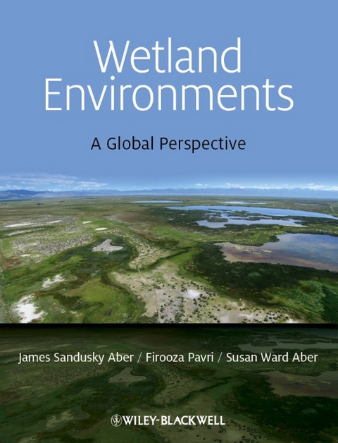 Wetland Environments - James S. Aber, Firooza Pavri, Susan W. Aber