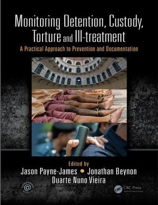 Monitoring Detention, Custody, Torture and Ill-treatment - 