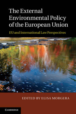 The External Environmental Policy of the European Union - 