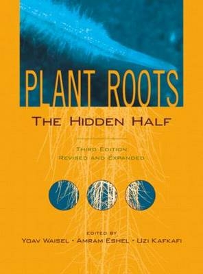 Plant Roots - 