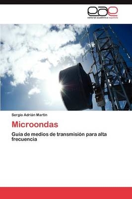 Microondas - Sergio AdriÃ¡n Martin