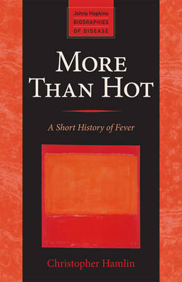 More Than Hot - Christopher Hamlin