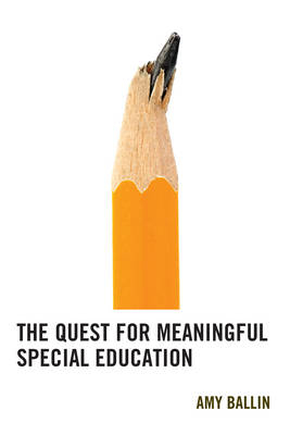 The Quest for Meaningful Special Education - Amy Ballin