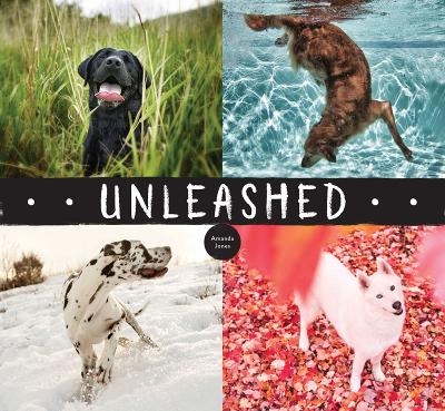 Unleashed - Amanda Jones