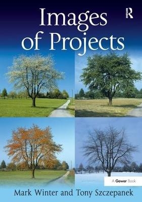 Images of Projects - Mark Winter, Tony Szczepanek