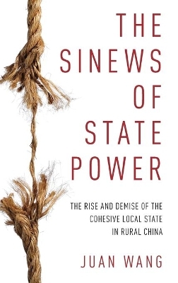 The Sinews of State Power - Juan Wang